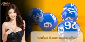 1 Điểm Lô Bao Nhiêu Tiền Và Tỷ Lệ Ăn Thưởng Chuẩn Tại AE888