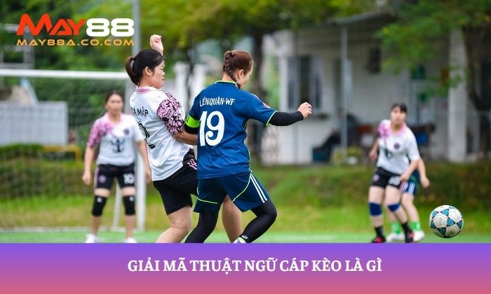 Giải mã thuật ngữ cáp kèo là gì