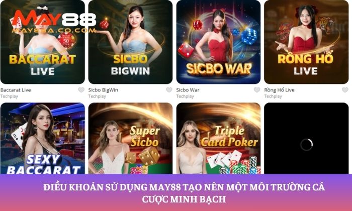 Điều khoản sử dụng May88 tạo nên một môi trường cá cược minh bạch