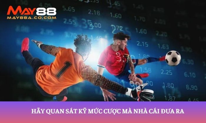 Hãy quan sát kỹ mức cược mà nhà cái đưa ra