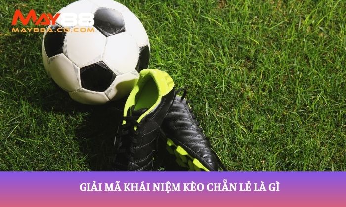 Giải mã khái niệm kèo chẵn lẻ là gì