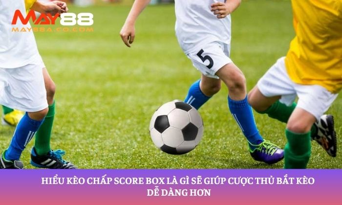 Hiểu kèo chấp Score Box là gì sẽ giúp cược thủ bắt kèo dễ dàng hơn