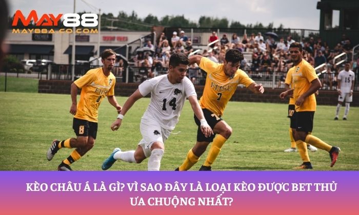 kèo châu Á là gì